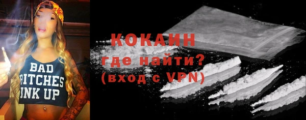 прущие грибы Краснослободск