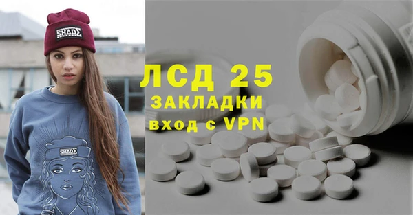 прущие грибы Краснослободск