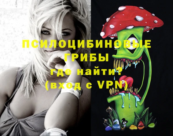 прущие грибы Краснослободск