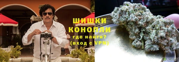 прущие грибы Краснослободск