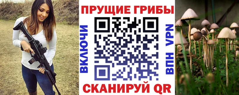 Псилоцибиновые грибы Psilocybine cubensis  где купить наркоту  Краснотурьинск 
