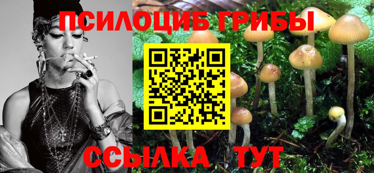 Галлюциногенные грибы Psilocybe Краснотурьинск