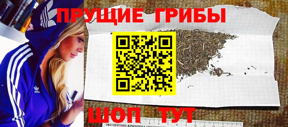 Краснотурьинск  Псилоцибиновые грибы Psilocybine cubensis  Вход с VPN 